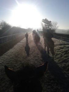 Gallops 4th March 2014