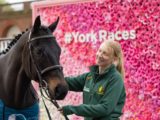 Goldream announced as equine ambassador