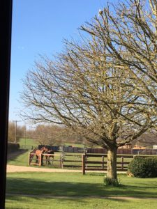 Spring on the stud2