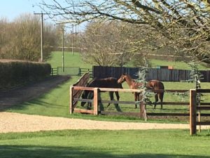 Spring on the stud3