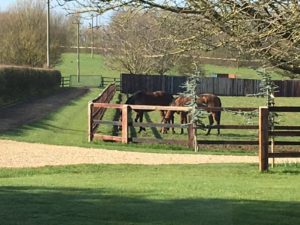 Spring on the stud4