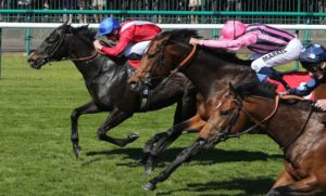 kingsgate%20native%20wins%202013%20temple%20580%20x%20350%20racingfotos_17124225721